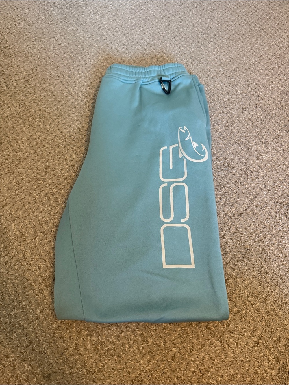DSG (Doing Something Great) Light Teal Jogger Pants